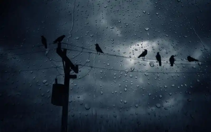 雨壁纸1920x1080分辨率查看