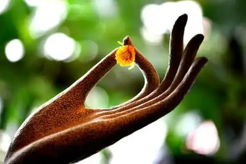 运气测试你喜欢哪只佛手测你今生会有什么福运