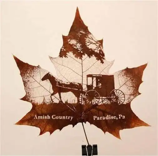 树叶创意设计图片大全,超有创意的树叶雕刻作品