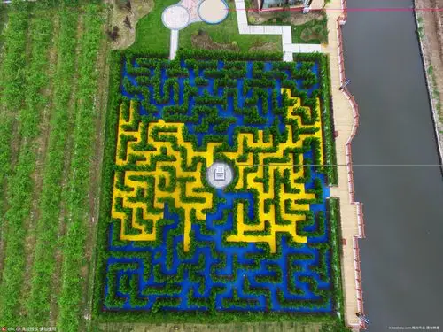 航拍上海金山首个大型"植物迷宫"揭开神秘面纱