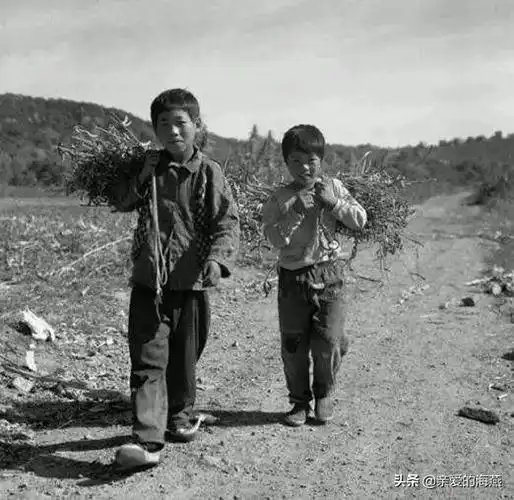 44张八十年代的老照片:能看懂的人都老了,致我们逝去的青春