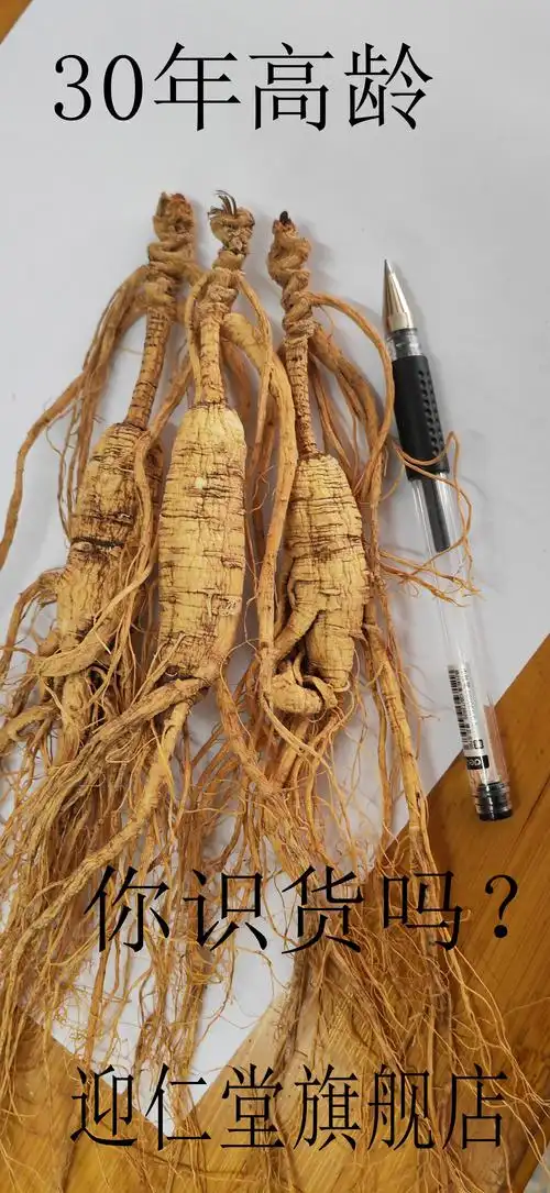 野山30年长白山野生人参整枝一棵20克左右30公分决明子