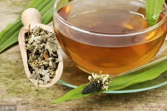 车前草是有抗抑郁作用的.平车前的全株,味甘,性寒.具有利尿,清