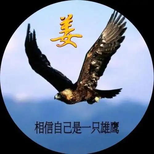 相信自己是一只鹰,翱翔在祖国的蓝天,姓氏头像