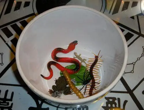 相传为湖南湘中及湘西地区古梅山苗族女孩子特有巫术,十年方可得一