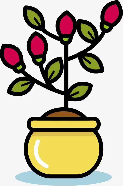 热带植物绿植多彩插画手绘矢量图