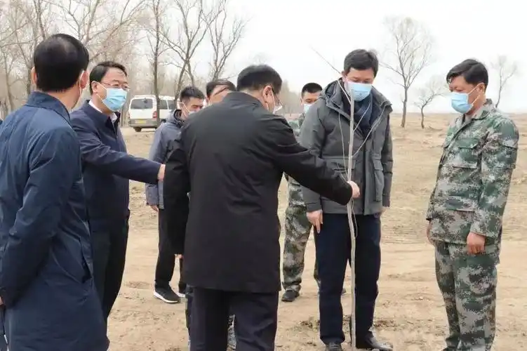 在张家堡镇张家堡大桥南侧,靳国卫查看了重点流域水源涵养林工程,了解