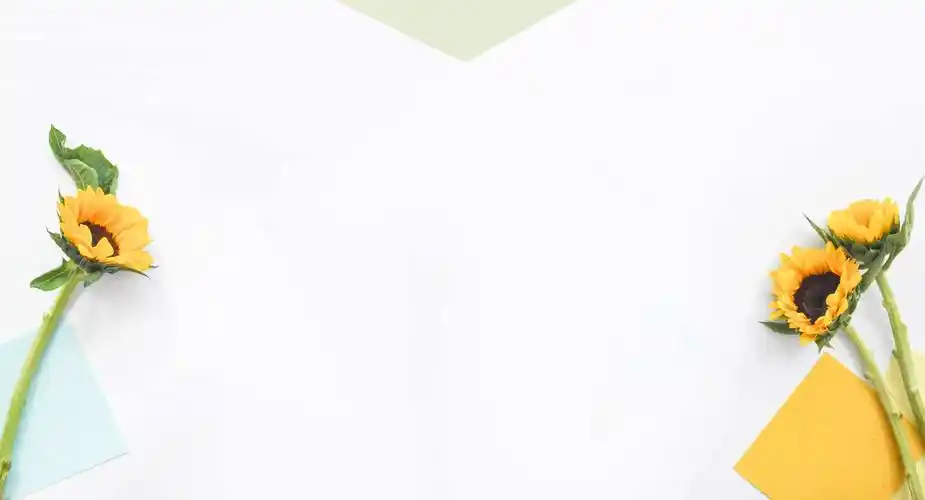 向日葵花银杏叶ppt背景图