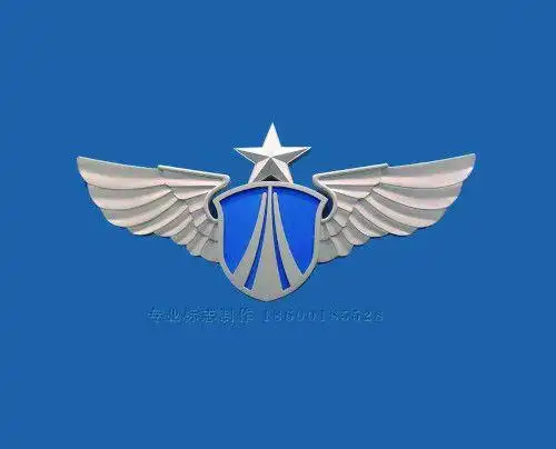 谁有空军雄鹰那个标志图片,有的发个,谢谢_搜狗问问