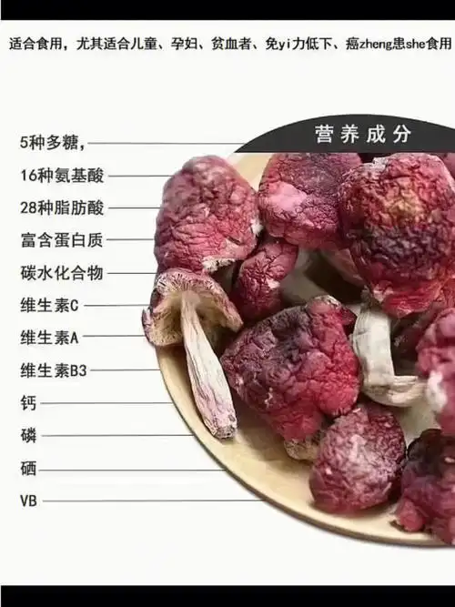 科普一下云南野生菌红菇