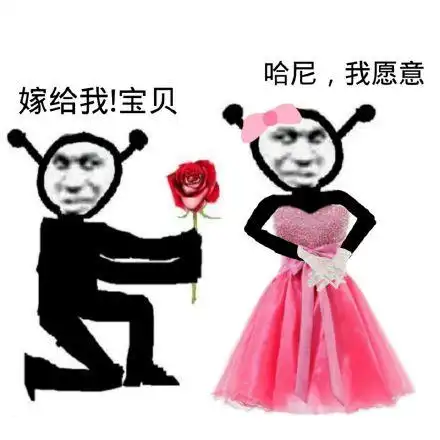 宝贝_我愿_哈尼_嫁给_宝贝表情