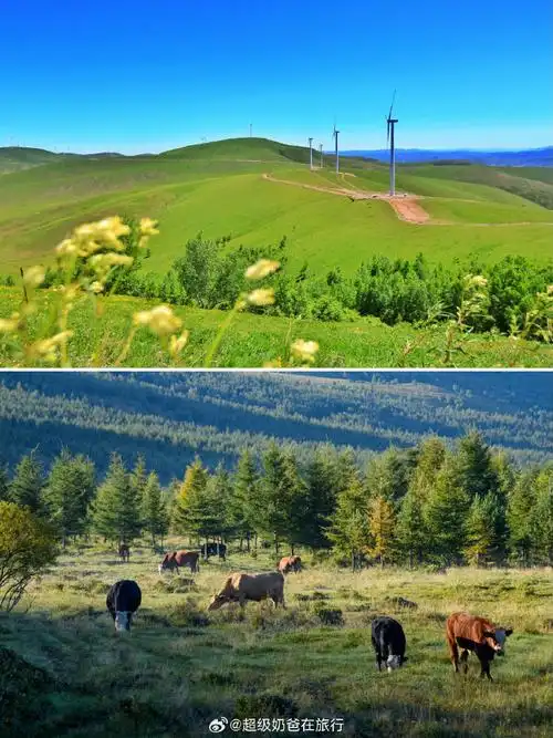 丰宁坝上百里天路##微博旅行家##带着微博去旅行