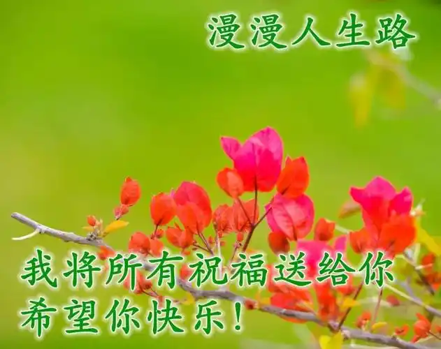 清晨美好正能量励志语录,清新带字图片安康问候祝福图片大全