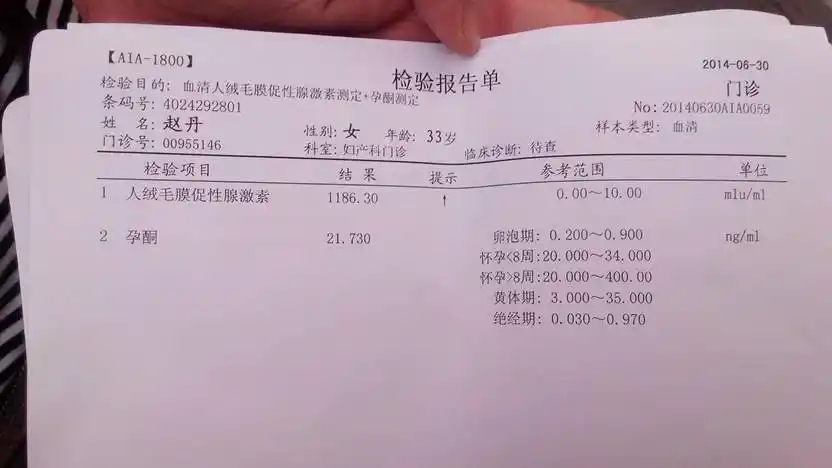 谁会看怀孕的验血单子