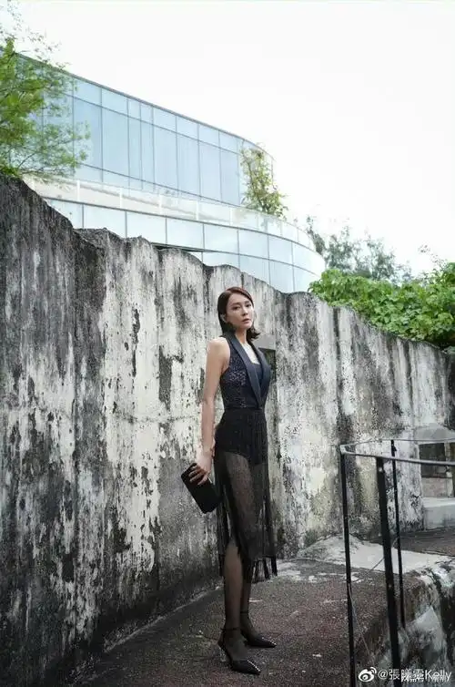 薄纱黑丝张曦文