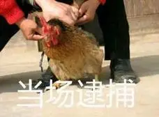 逮捕表情包表情包 - 逮捕表情包微信表情包 - 逮捕表情包qq表情包