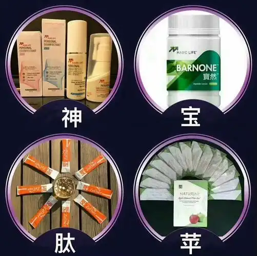 美极客四大系列产品简介