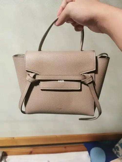 送婆婆一只celine鲶鱼包