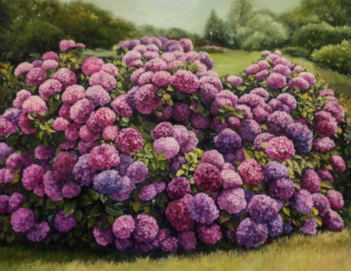 绣球花一直是蔡莉莉油画