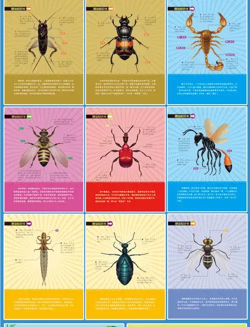 《法布尔昆虫记全套10册少儿彩绘美图版3-12岁科普读物儿童百科全书》