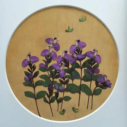 小卉的压花原创作品集