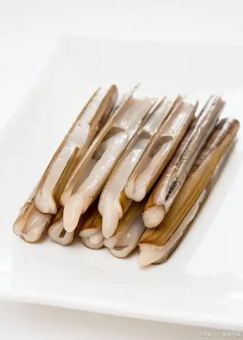 蛏子,学名缢蛏,别名"小人仙"属软体动物.