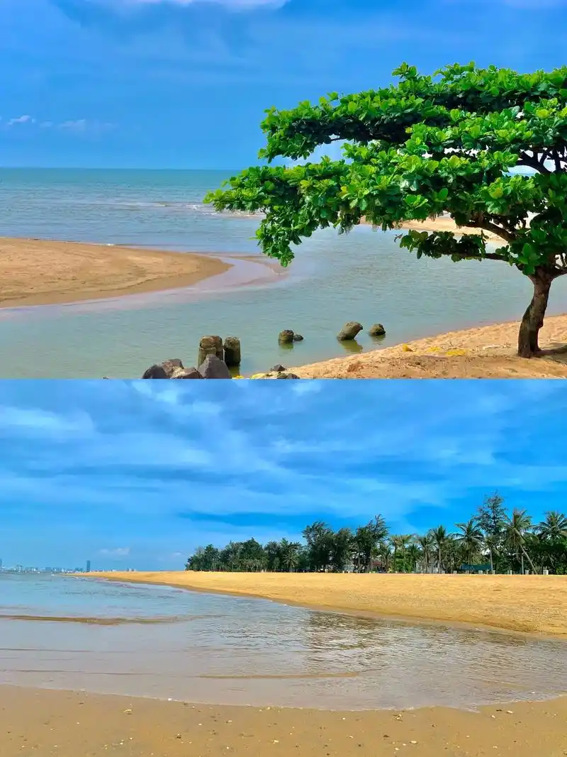 海南美景.一定不要错过的一个海岸线! 海口五源河湿地公园. - 抖音