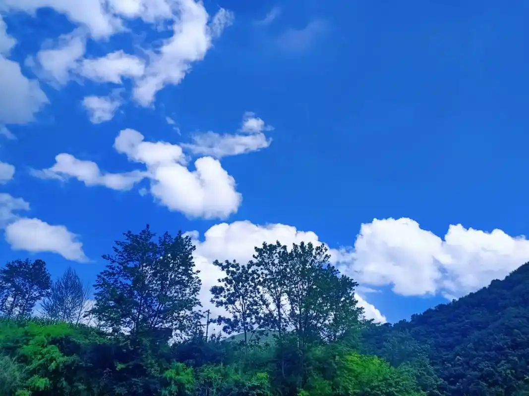 蓝天白云,大太阳98 #治愈系风景 #蓝天白云晴空万里 - 抖音