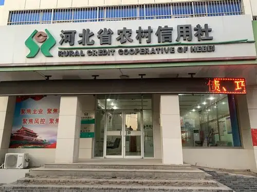 【河北省农村信用社饶阳联社2019年开门红启动导入期第3天】