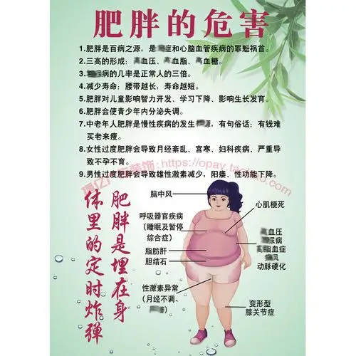 美容养生院肥胖的危害宣传高清挂画广告印刷kt展板相纸pp胶背胶画