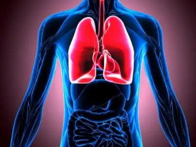 女的肺部位置图,梦到被蛇咬中毒去医院