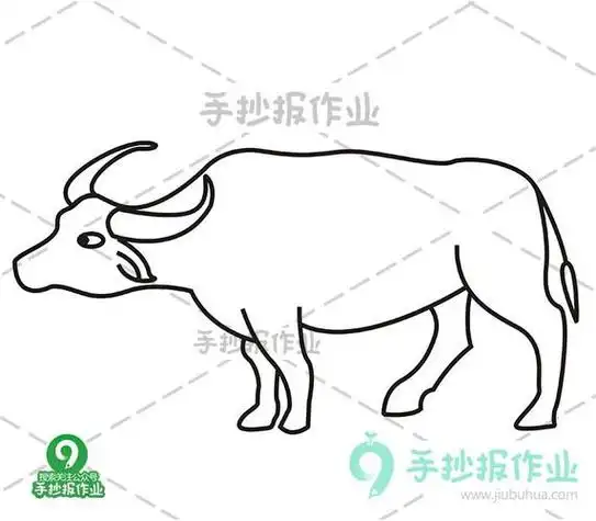 水牛简笔画可爱