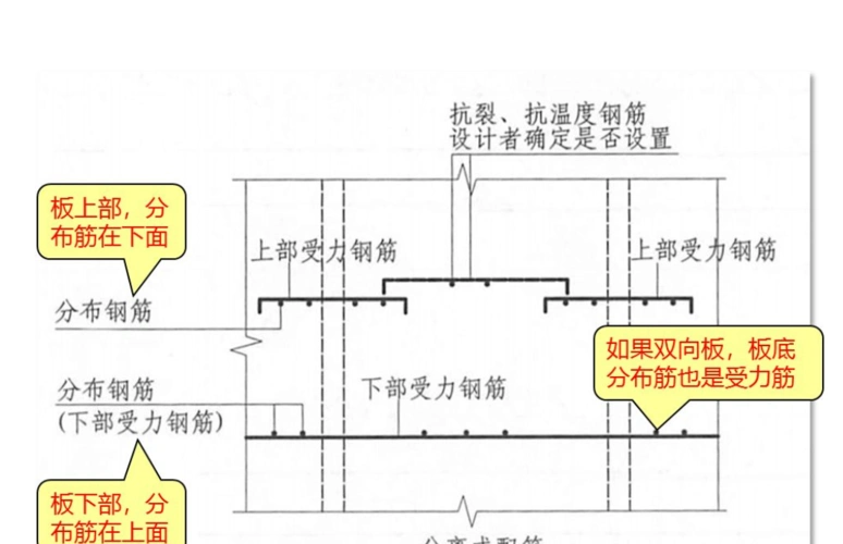 分布筋 指的是那,什么钢筋, 在我这个图片什么位置