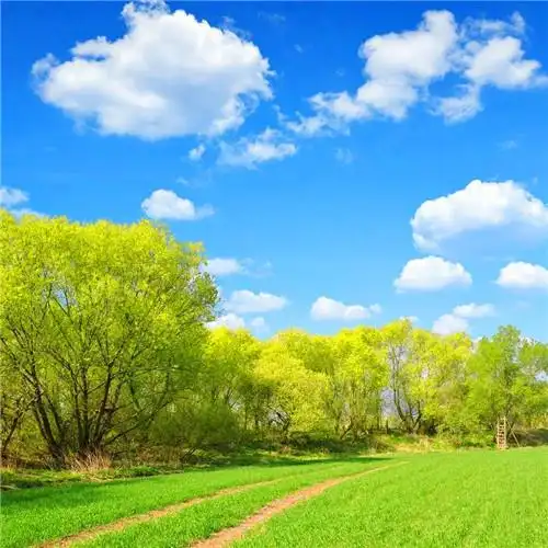 抖音图片最火头像风景