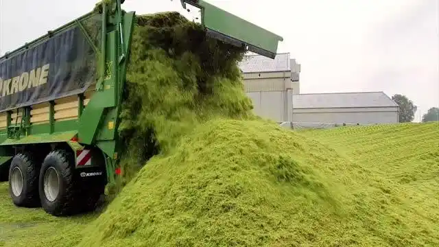 克拉斯960tt青贮机身披40000台纪念涂装 收割燕麦作青贮