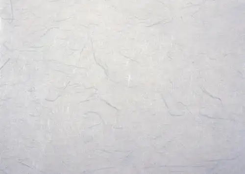 什么是素色背景照片