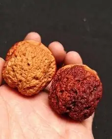 【精品55】41大尺盘丝密纹闷墩元宝蛤蟆头云南野生铁核桃文玩