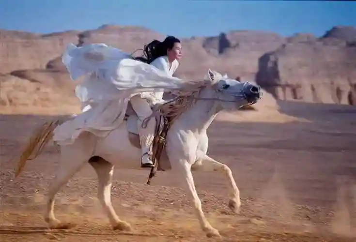 香港古装电影武打片(武打电影功夫片)