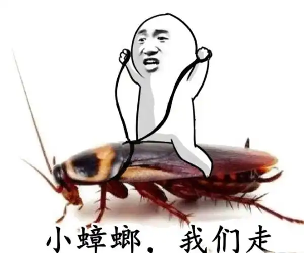 "打不死的小强",到底有多强?真是大开眼界了-51区未解之谜网