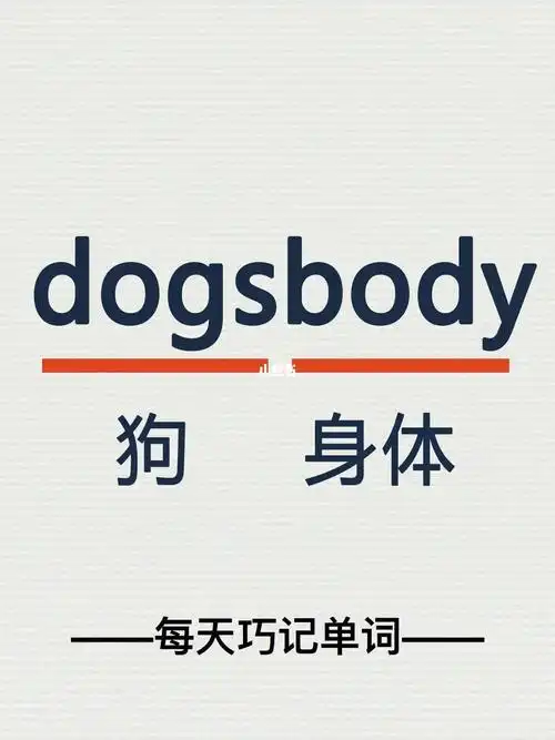 dogsbody78音标: [04d0009ɡzbɑ09di]78翻译:n