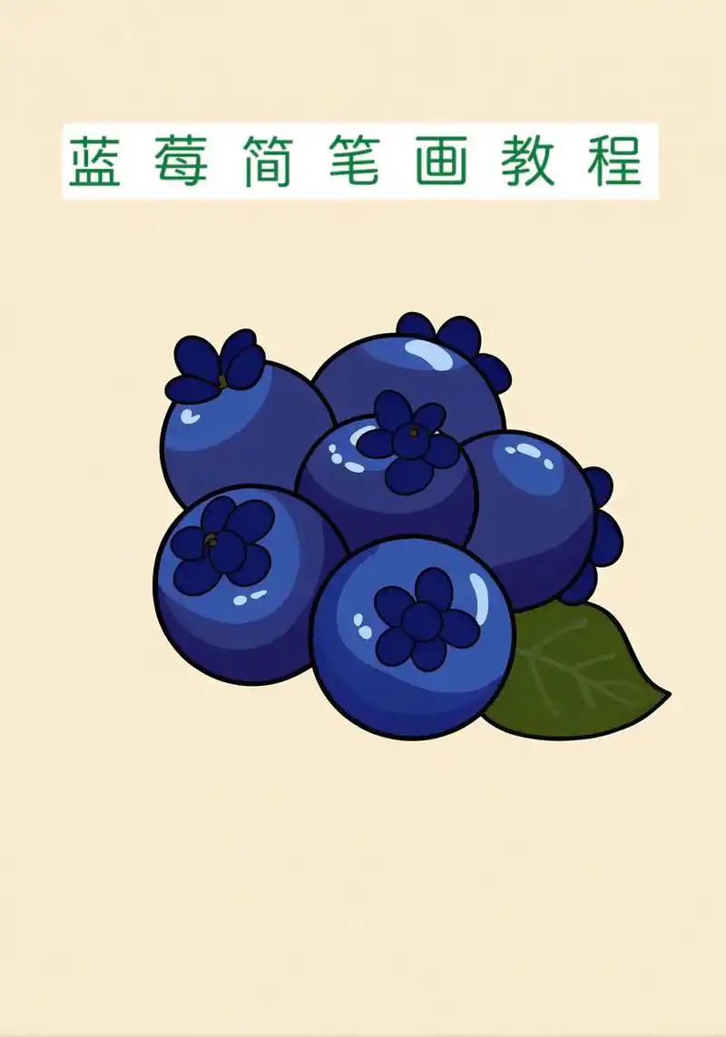 蓝莓简笔画教程,让我们一起来画画吧!蓝莓不仅颜色漂亮,味道也 - 抖音