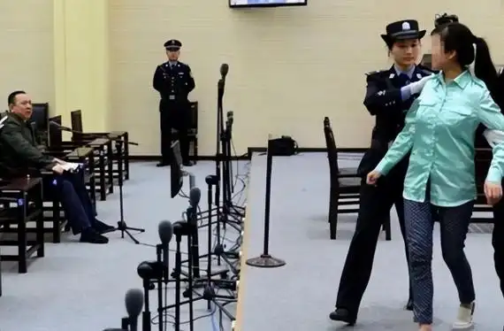 影视:中央最大保护伞落网,职务比书记还牛,抓捕现场堪称刺激!