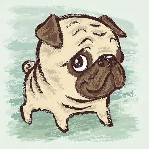 高清可爱q版卡通头像可爱萌小动物