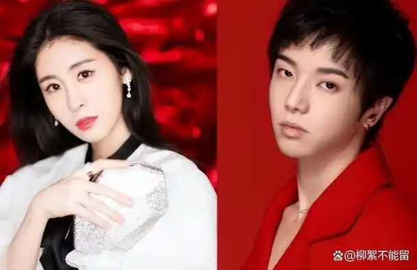 有一种谋算叫张碧晨和华晨宇孩子四岁了才知道这盘大棋