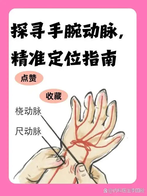 探寻手腕动脉,精准定位指南