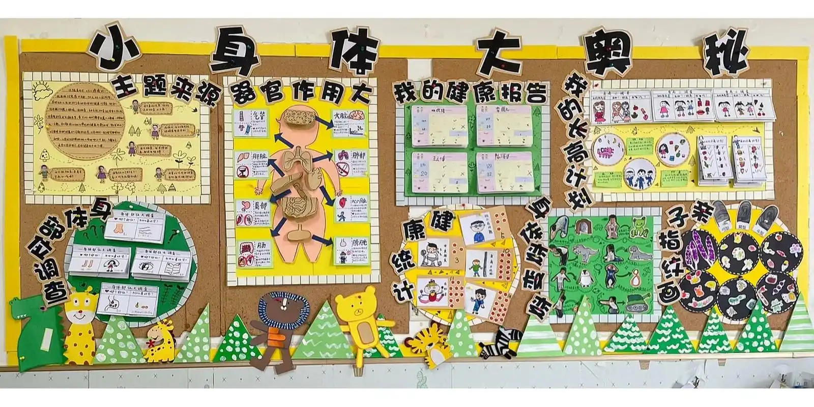 小身体大奥秘大班主题墙