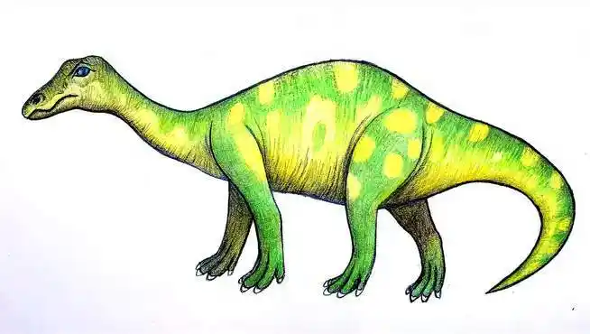 彩铅画恐龙系列,怎样画重爪龙彩铅上色过程-教育视频-搜狐视频