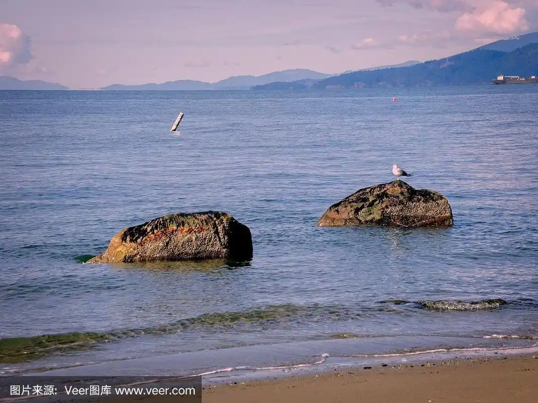 温哥华沉船海滩