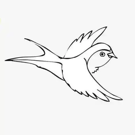 回头的小燕子简笔画小燕子简笔画画法图片步骤可爱的燕子简笔画图片