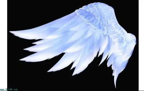 sorceress |分类:多媒体2010-02-20 蓝色的单翅的图片,用来做头像的